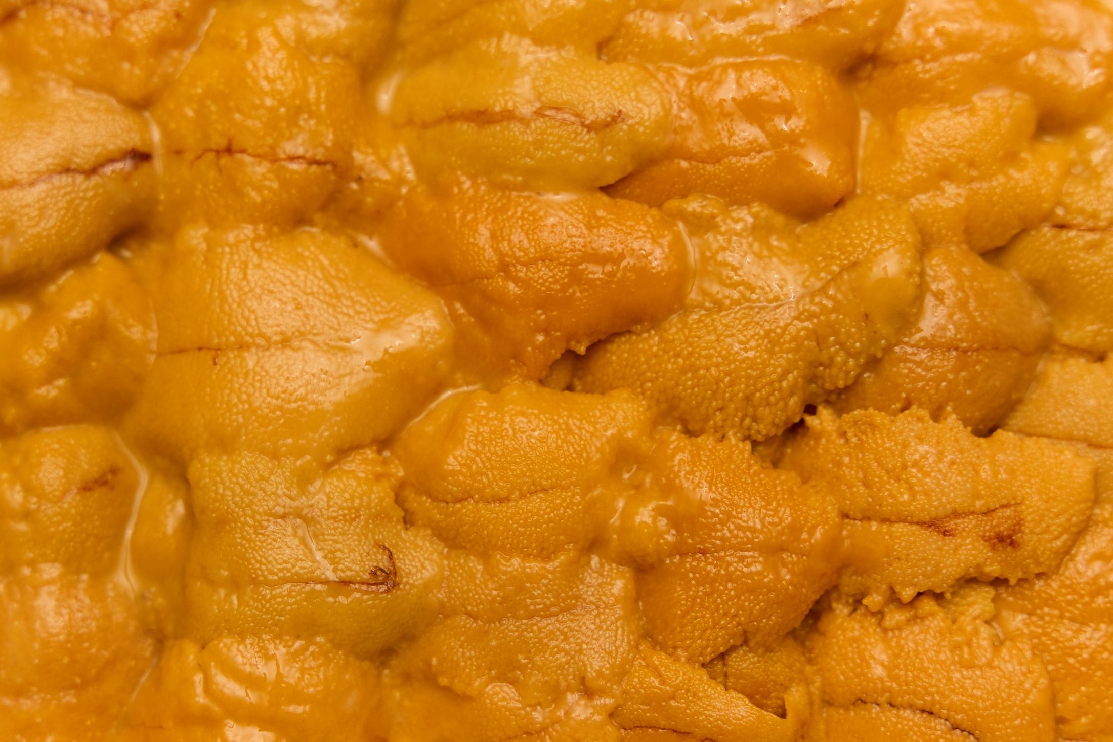Santa Barbara uni, tray-graded