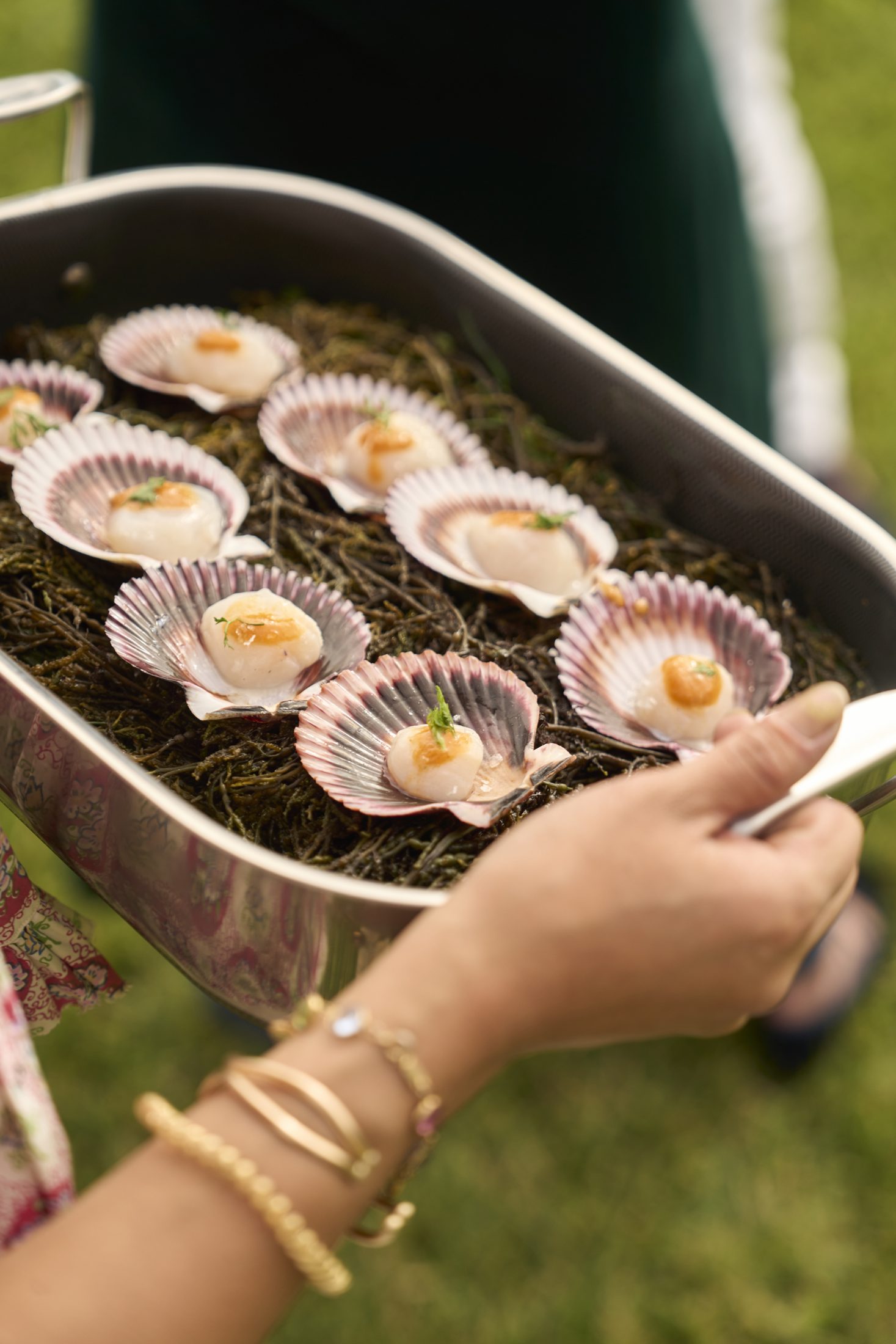Scallops in the shell over fire