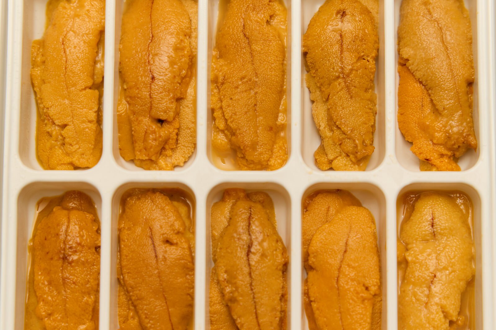Santa Barbara uni, tray-graded